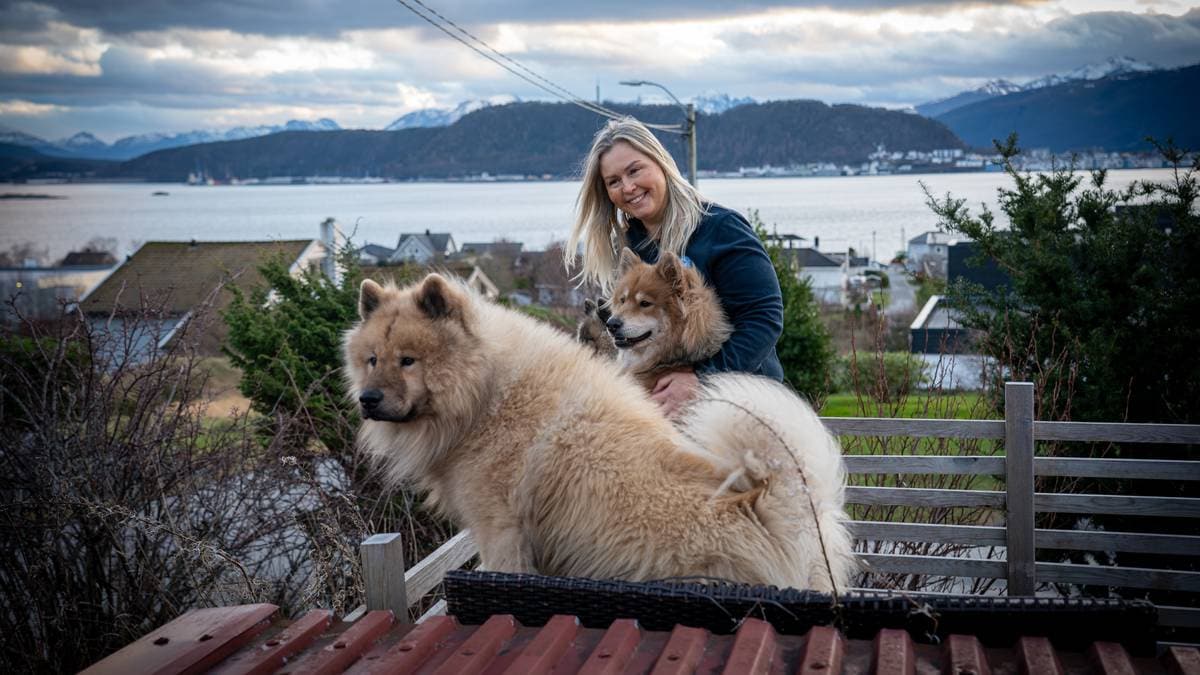 Skyt opp fyrverkeri fleire gonger i desember – naboar har sett seg lei