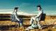 Foto: Sony Pictures Home Entertainment / AMC Breaking Bad