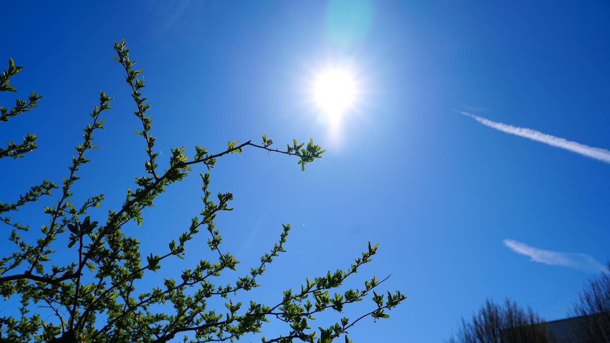 – Begrens tiden i solen