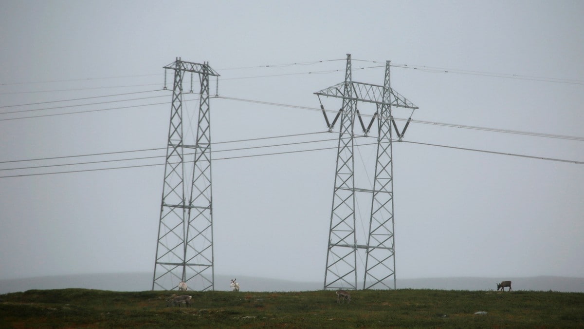 Vil bygge kraftlinje til Melkøya: Lener seg på uferdig forskning