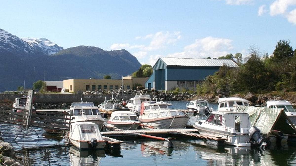 Underskrifter Mot Fisk M lle NRK Vestland underskrifter-mot-fisk-m-lle-nrk-vestland