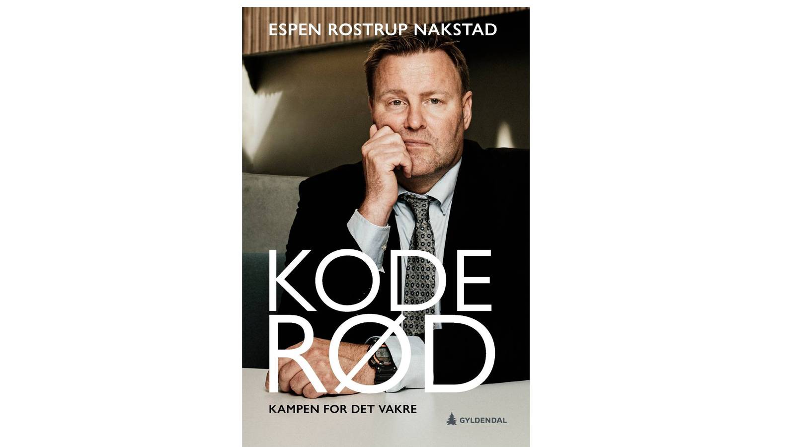 Anmeldelse «Pandemiarkivene» av Espen Stueland Anmeldelser og