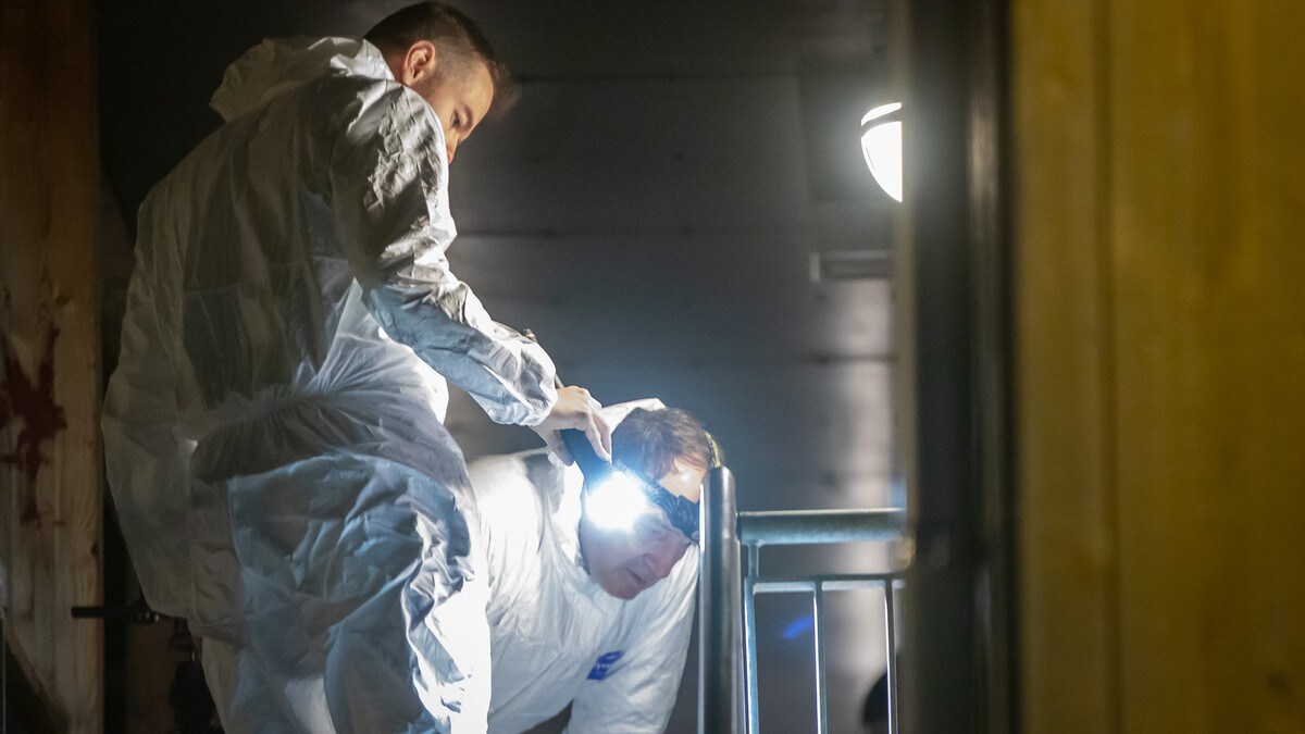 Mann angrepet med stikkvåpen i Trondheim: Ingen pågrepet