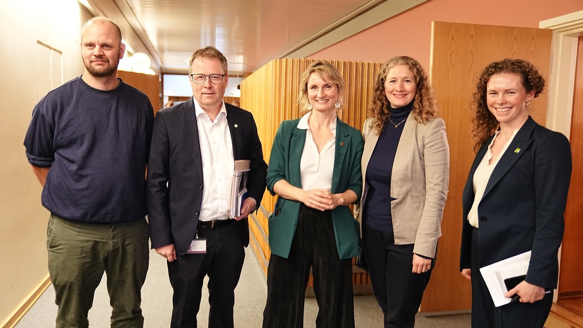 Budsjettforhandlingene: MDG kaller inn sentralstyret