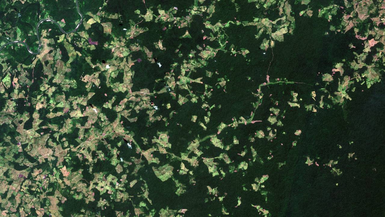 Satellitt-bilde over skog i Colombia fra 2016