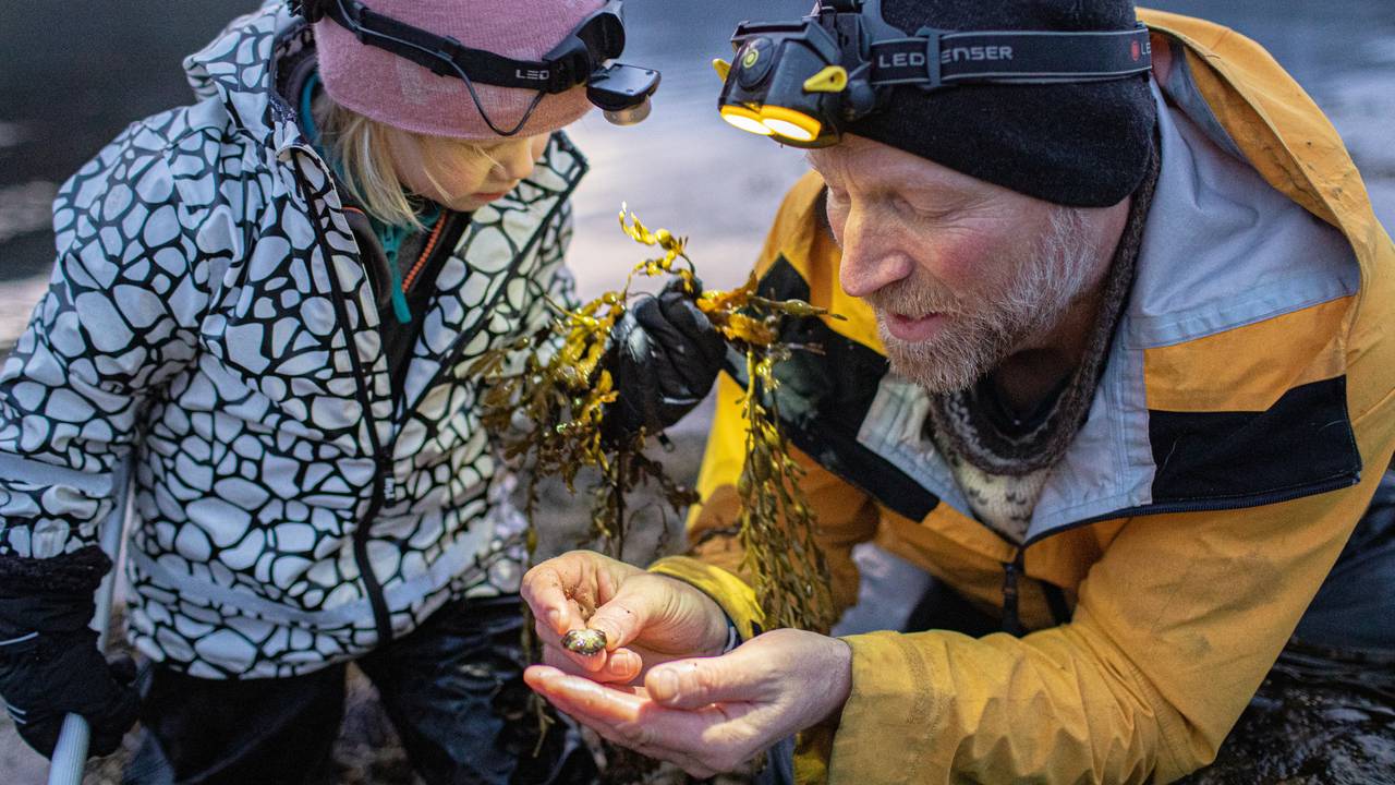 Audun Rikardsen og datter ser på en krabbe som Audun holder i hånden