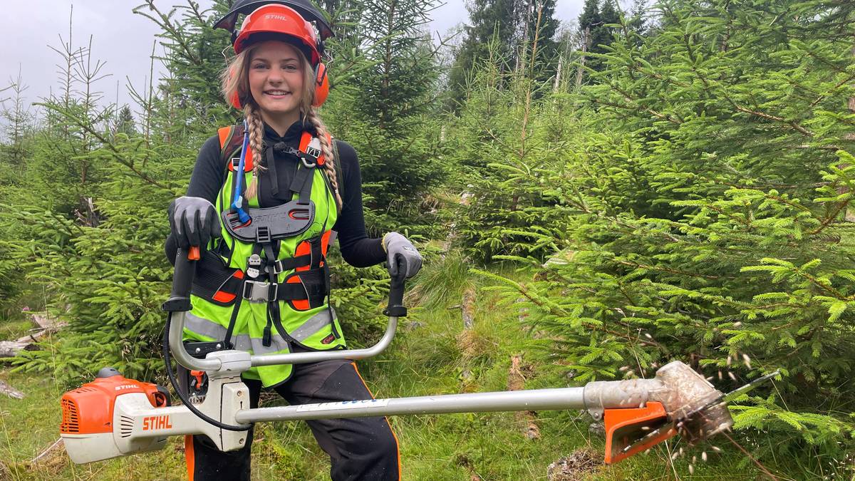 Hyller alternative sommarjobbar: Kaja jobbar i skogen – NRK Vestland