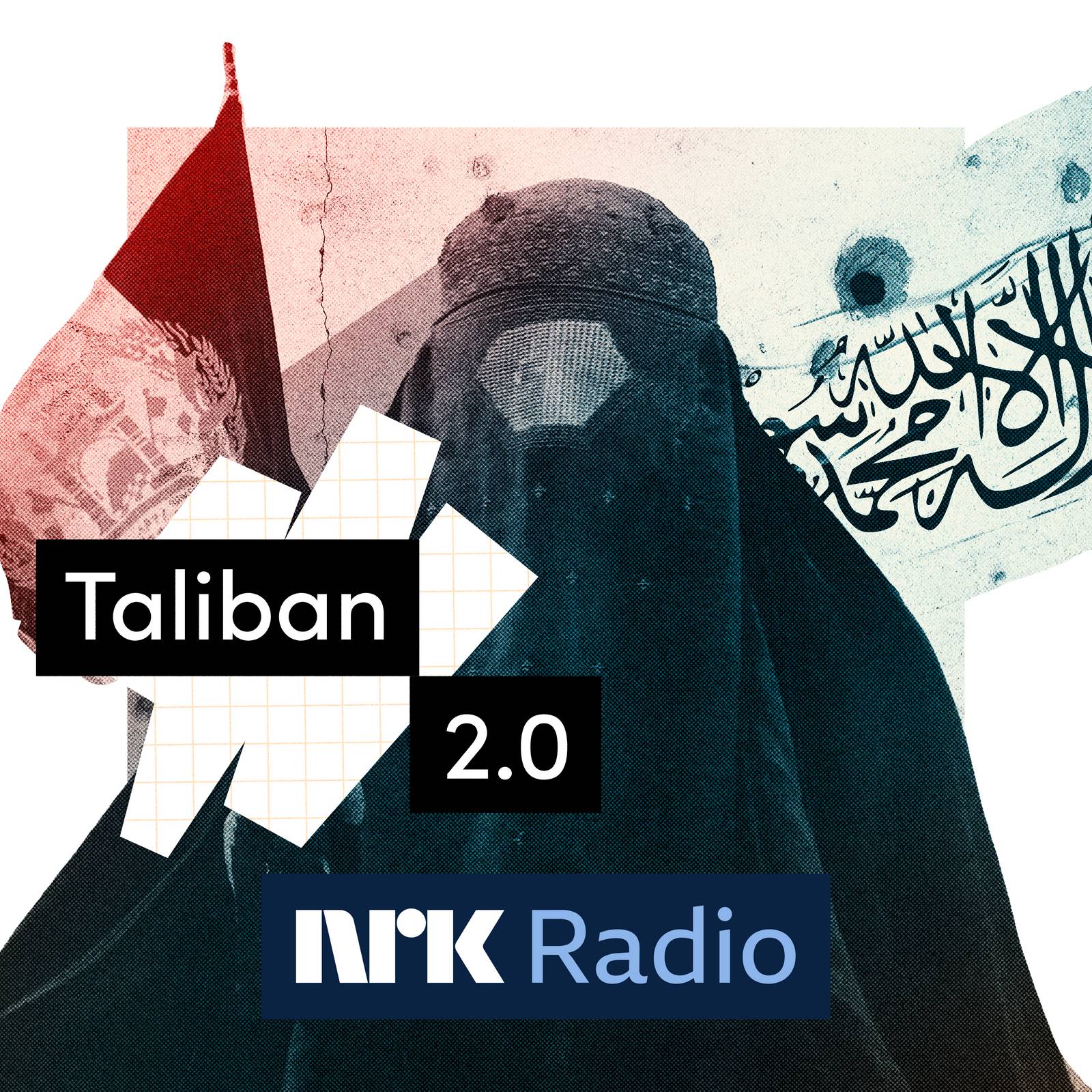 Smakebit: Taliban 2.0