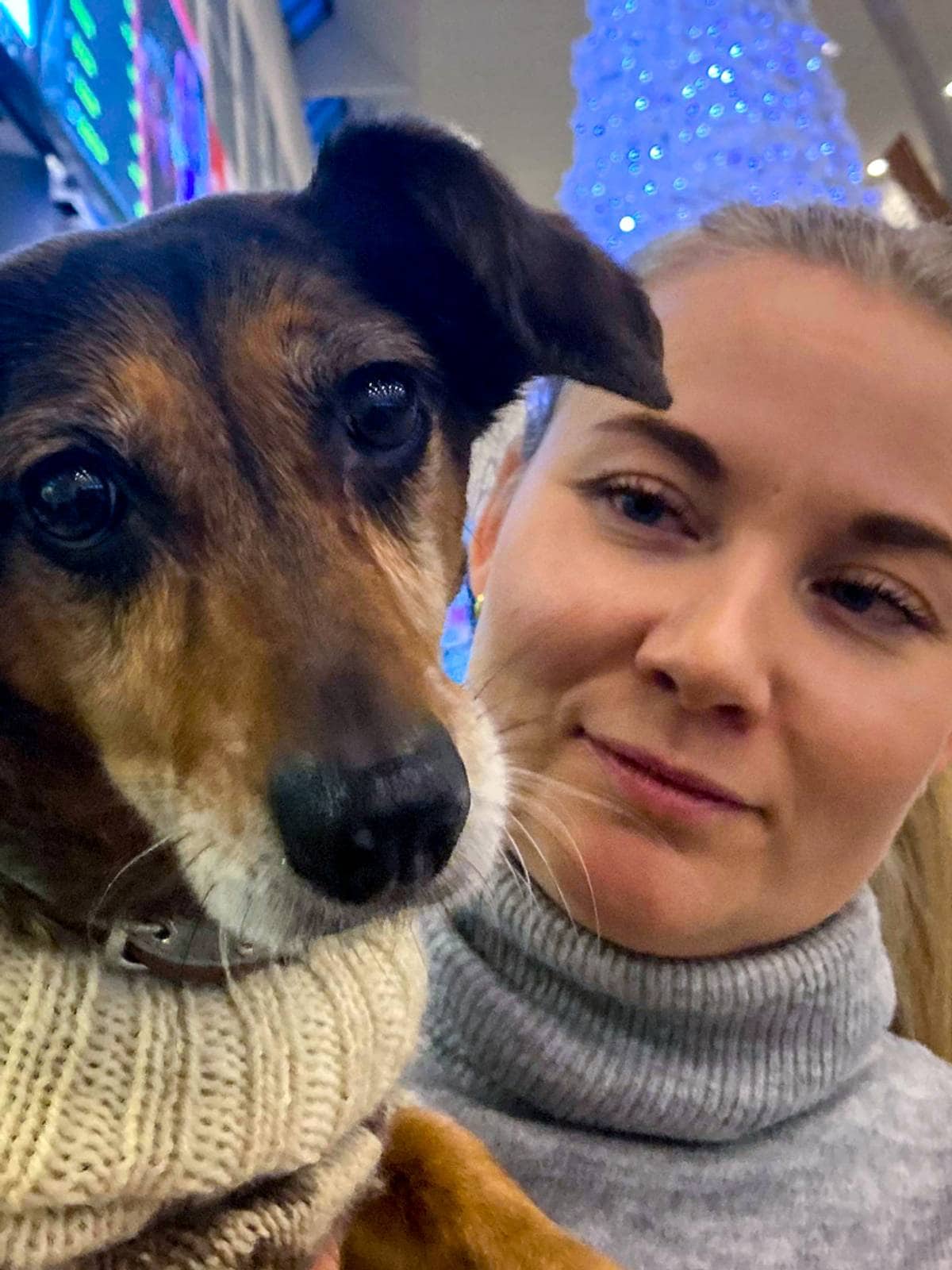 Nye regler for hund i SAS: Malin fikk nesten ikke med seg hunden hjem til jul – Nordland