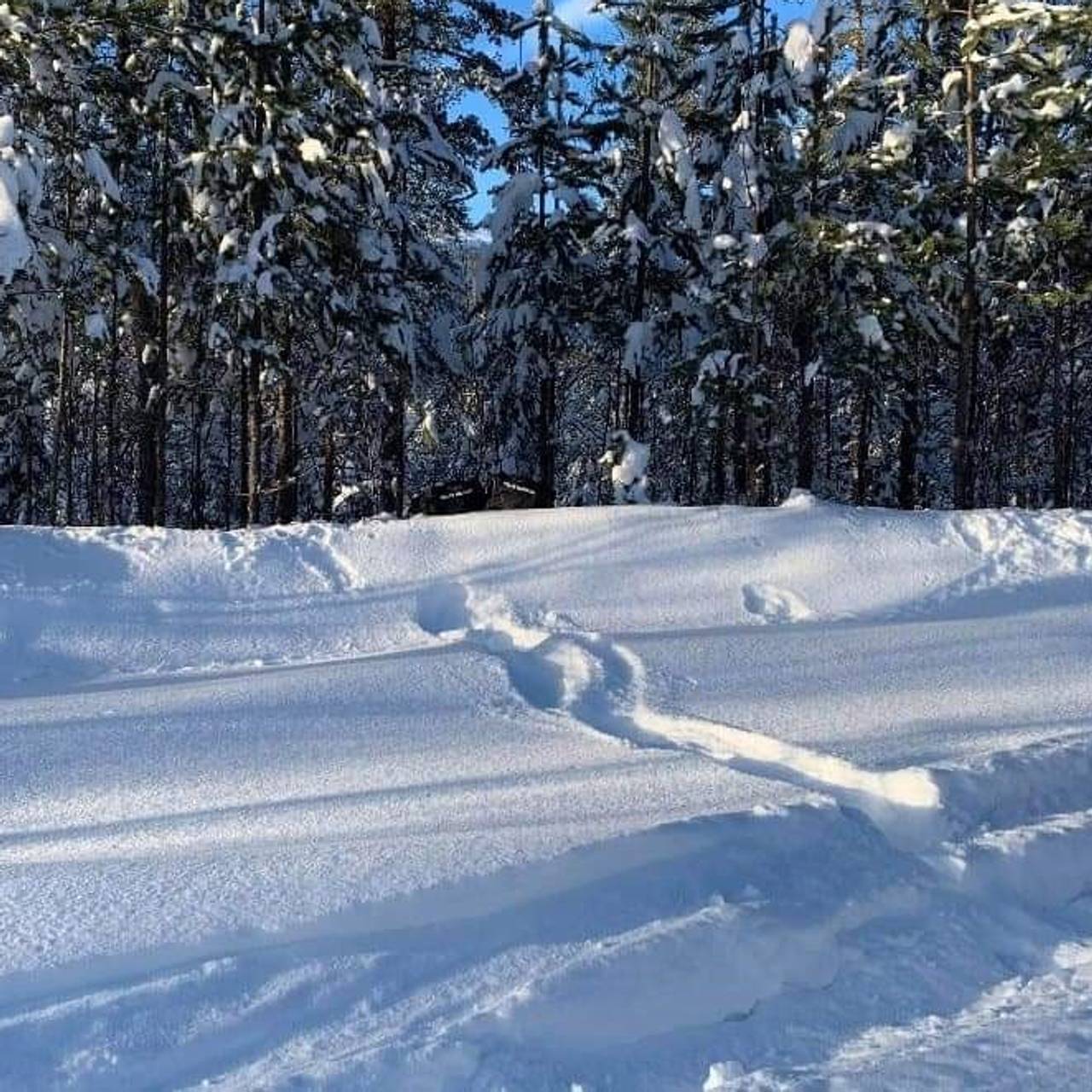 Spor i snøen etter et akebrett som ble brukt i et smuglingsforsøk til å frakte hasj over grensa.