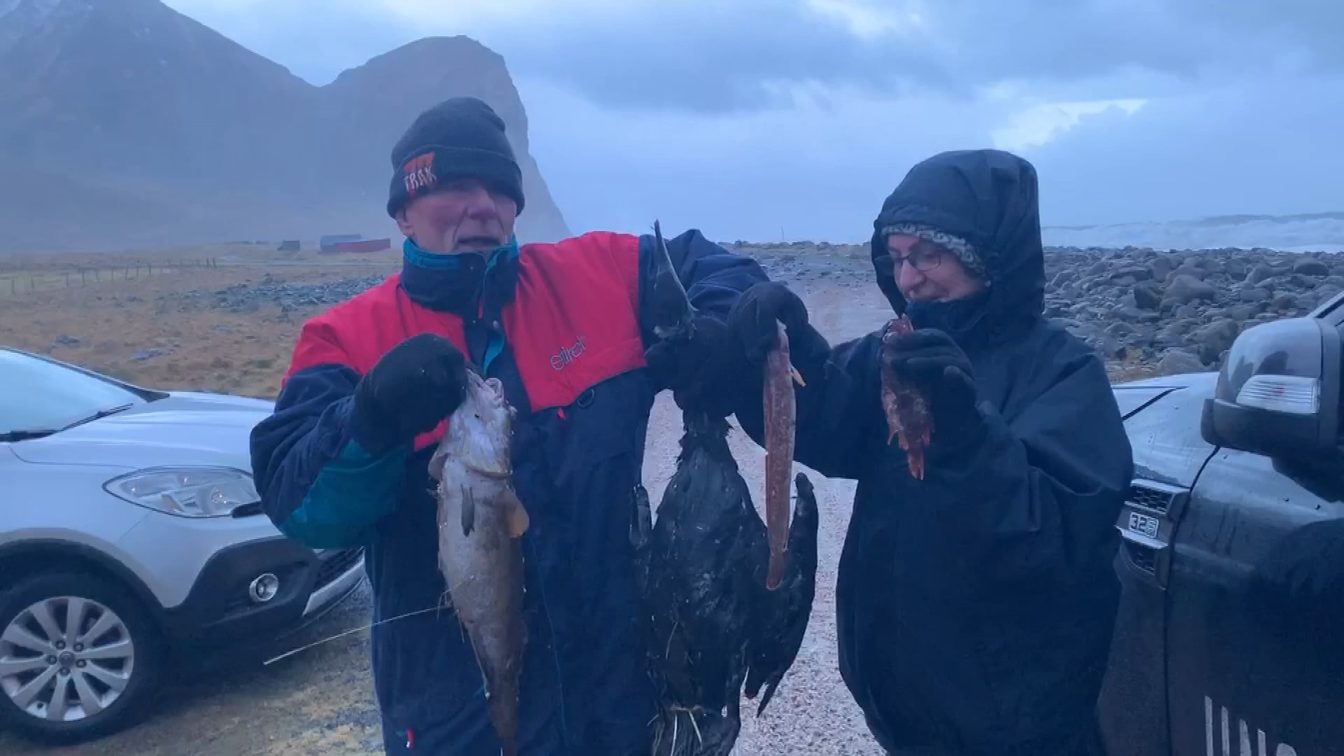 Turister fikk se at fisk ble blåst på land under stormen i Lofoten