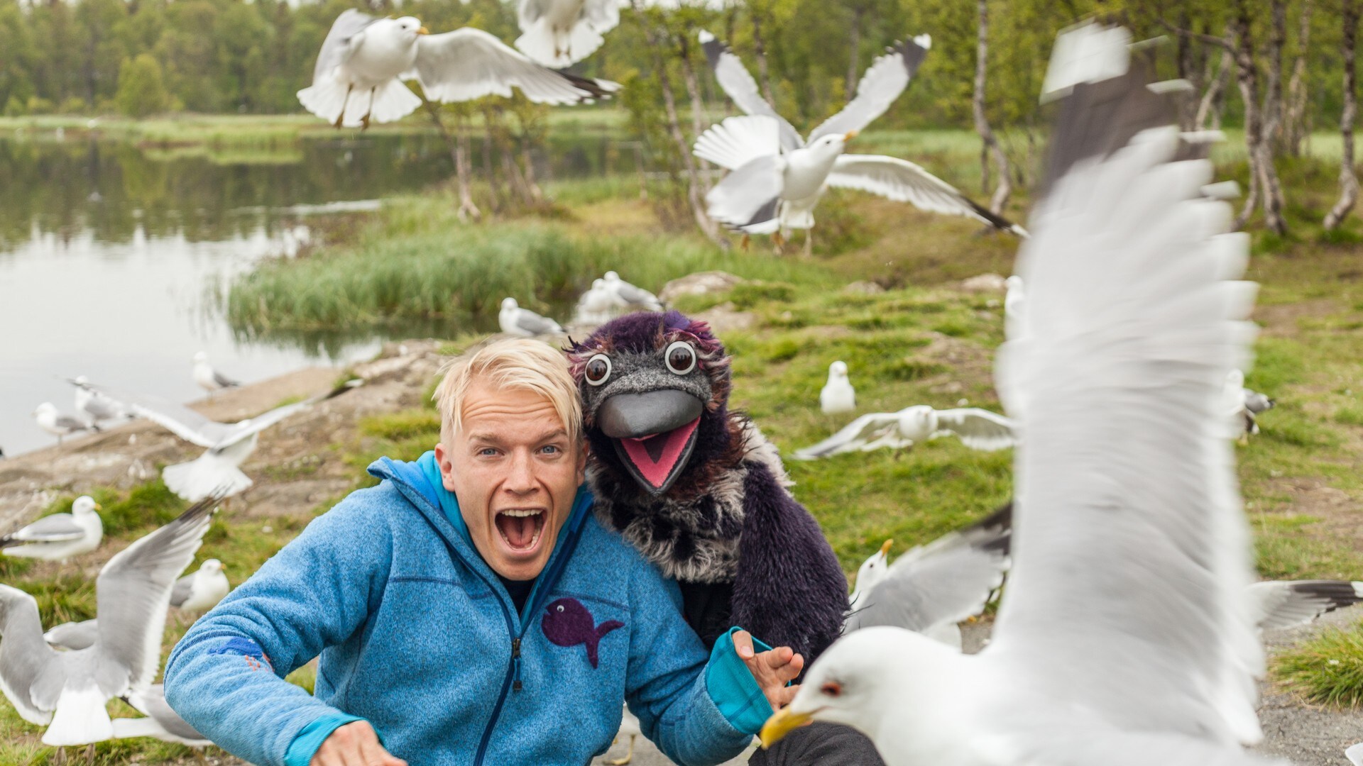 Kr keklubben NRK TV