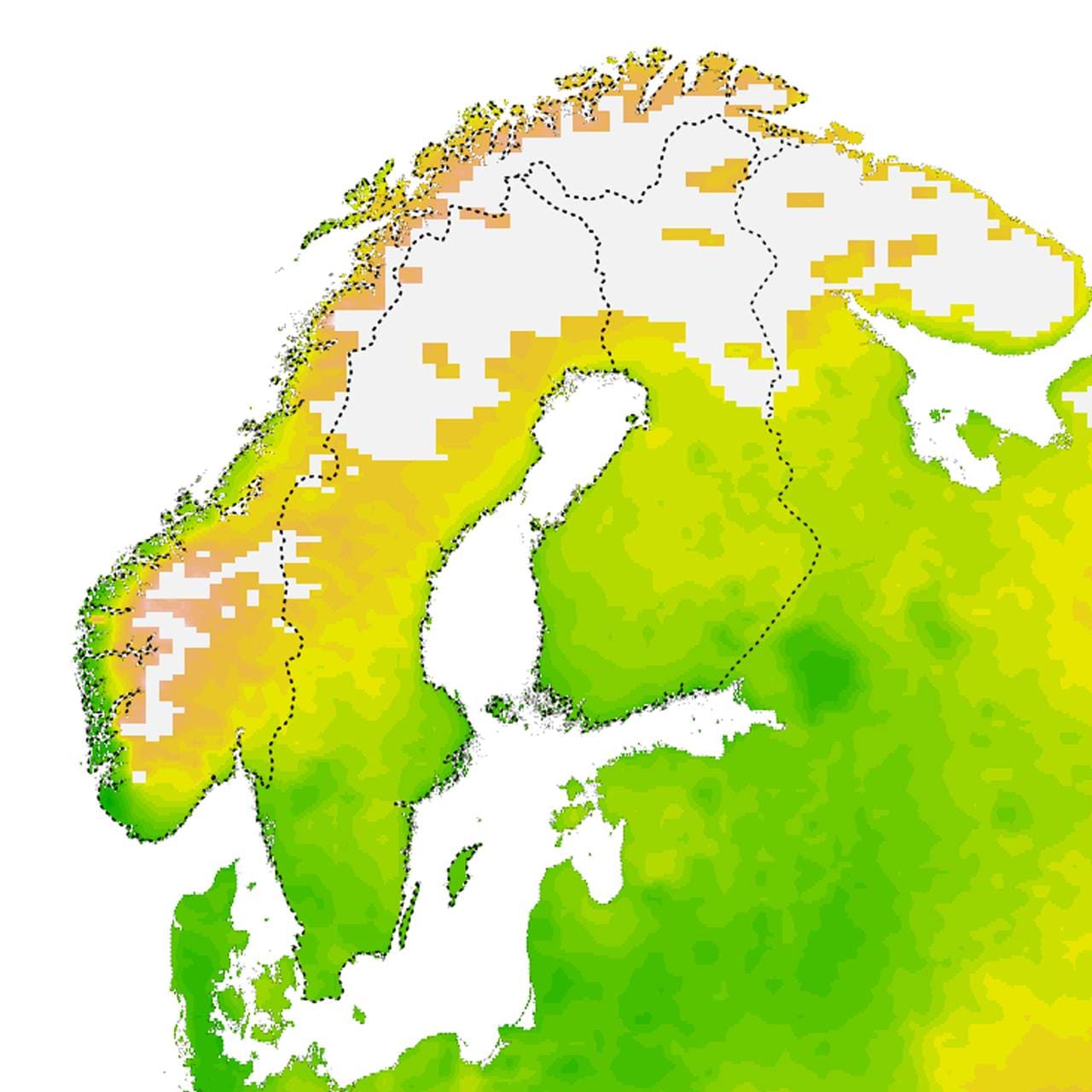 Fremskriving av klimamessige optimale forhold for flått årene 2080-2100 i Norge. Kartet er utarbeidet av Solveig Jore, Folkehelseinstituttet og Christian Wilhelm Mohr ved Norsk Institutt for Bioøkonomi.