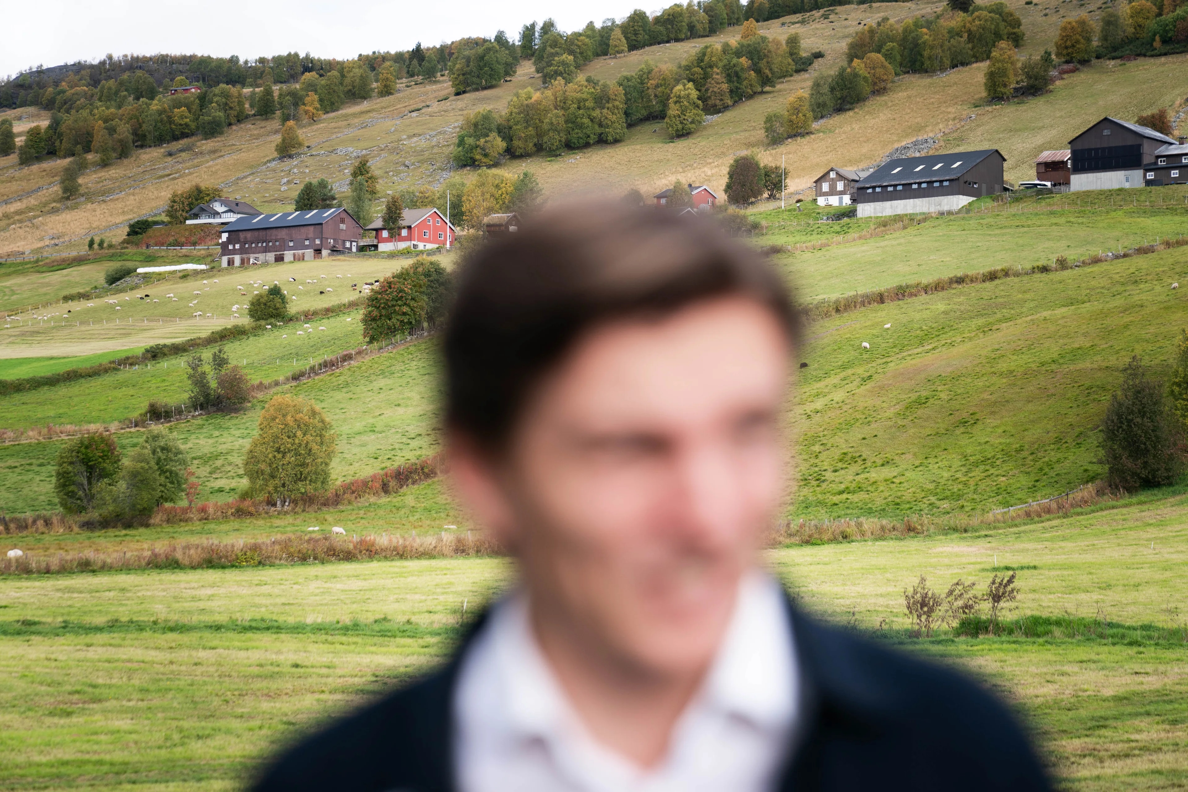 Uskarp person i forgrunnen foran et åpent kulturlandskap med gårdsbygninger og beitende sauer. (Bildebeskrivelsen er laget av en KI-tjeneste)