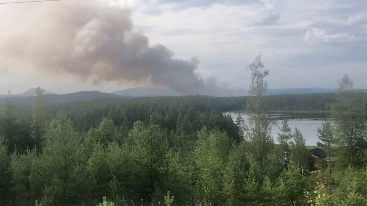 Stor skogbrann i Hedmark - 8000 høner trues av flammene