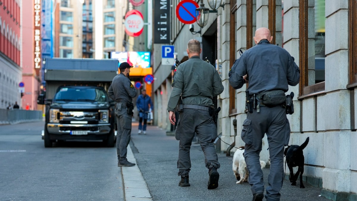 Politi med tjenestehunder patruljerer en gate i Oslo sentrum. (Bildebeskrivelsen er laget av en KI-tjeneste) FOTO: Ole Berg-Rusten/NTB