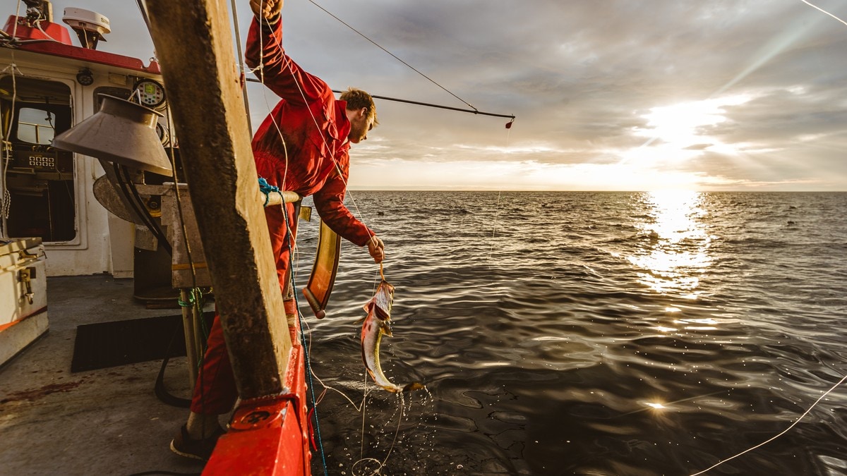 Fiskeryrket er Norges farligste