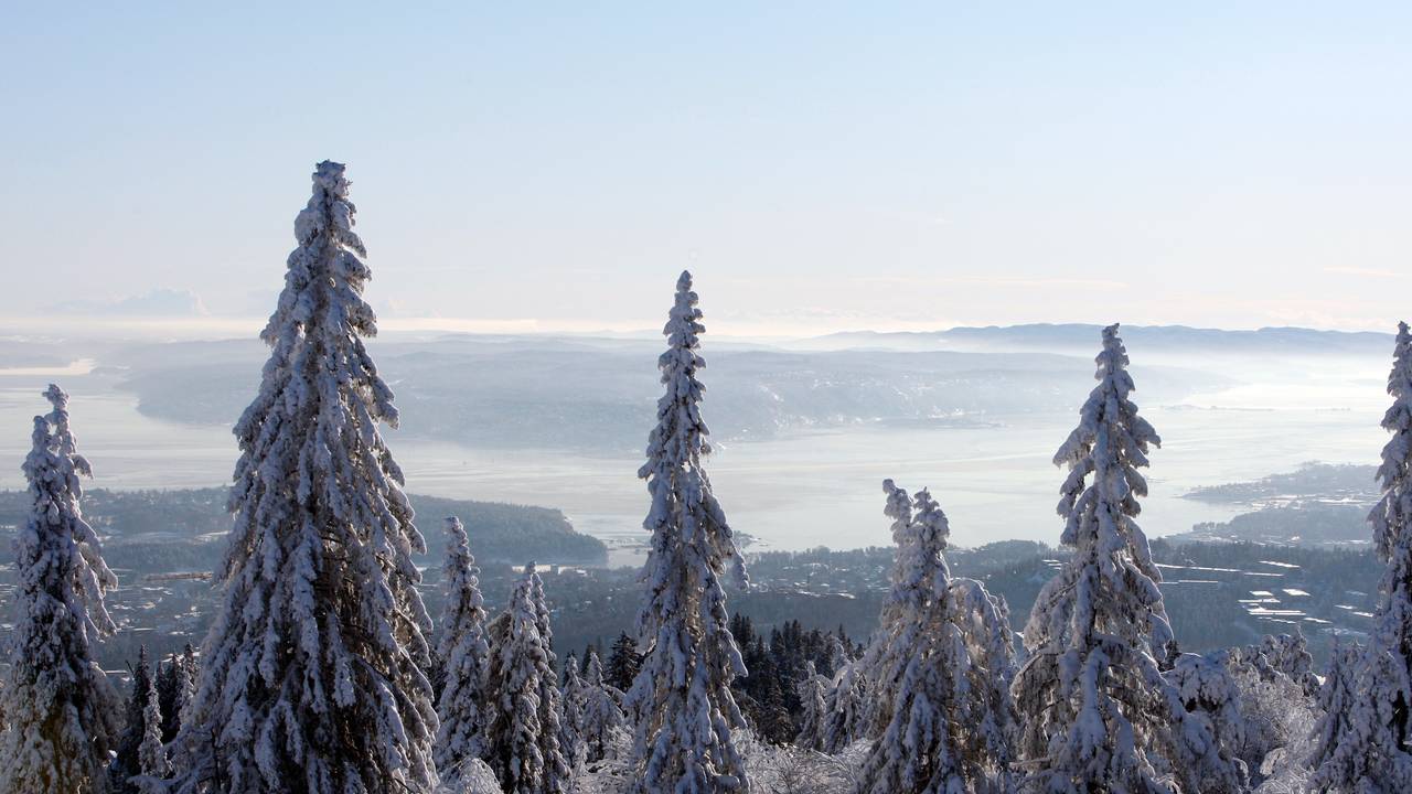 Utsikt mot Oslofjorden fra Holmenkollen og Nordmarka.