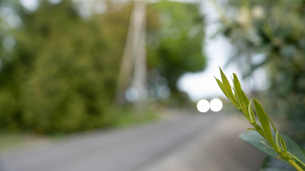 I dette nabolaget levde gutten isolert i femten år. Nå er moren frifunnet