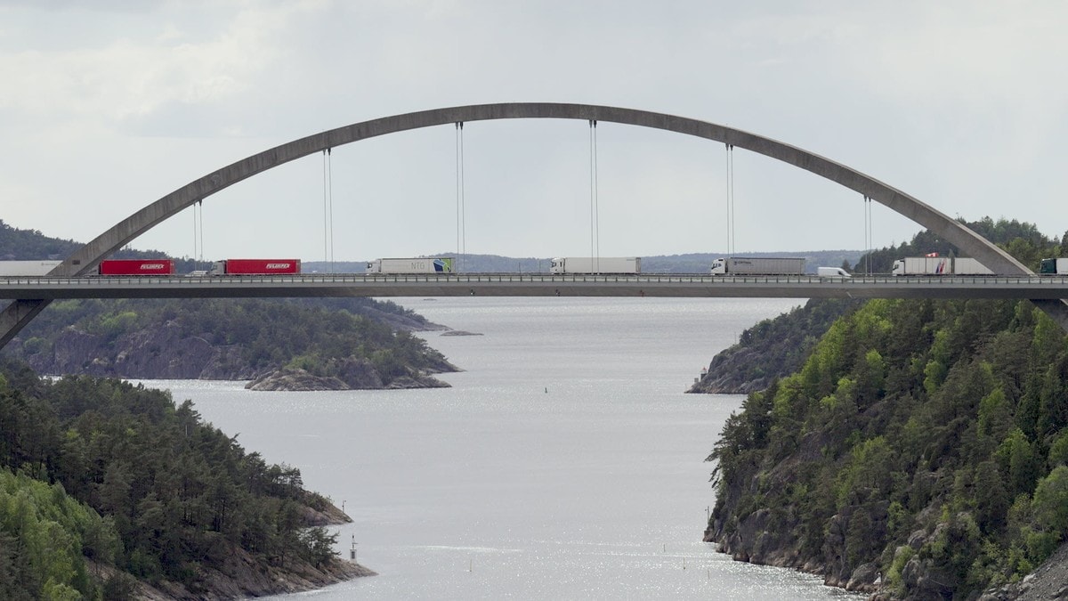 Økokrim meiner smugling av laks kan skje i stort omfang