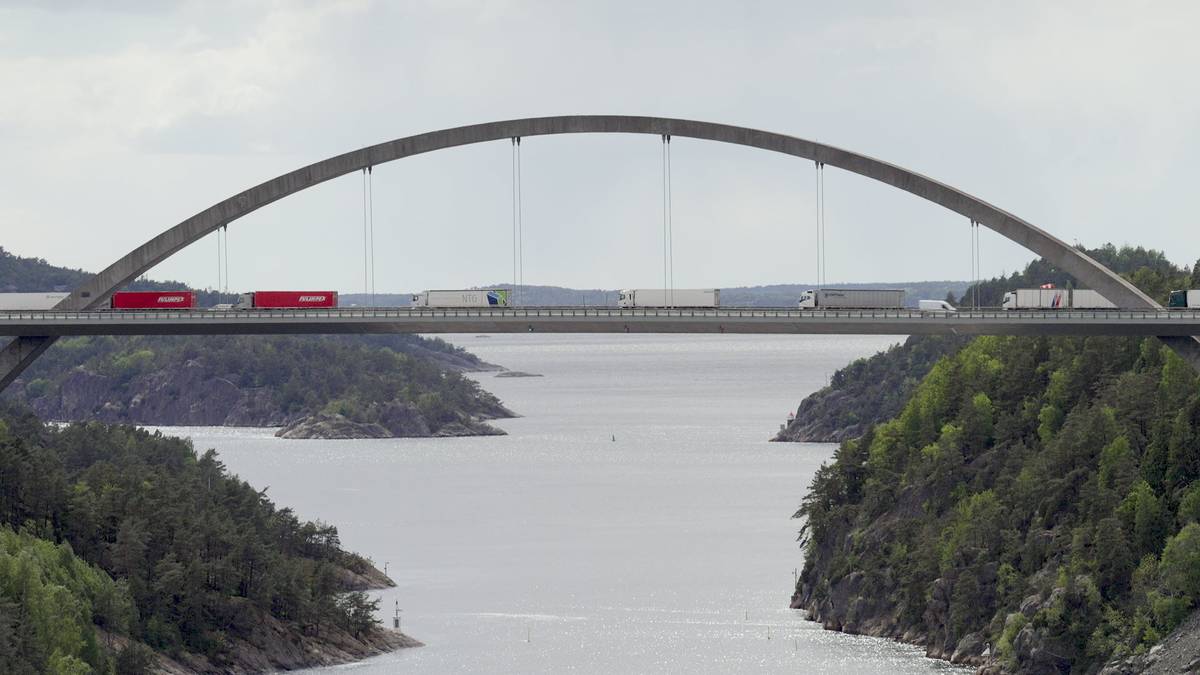 Økokrim meiner smugling av laks kan skje i stort omfang