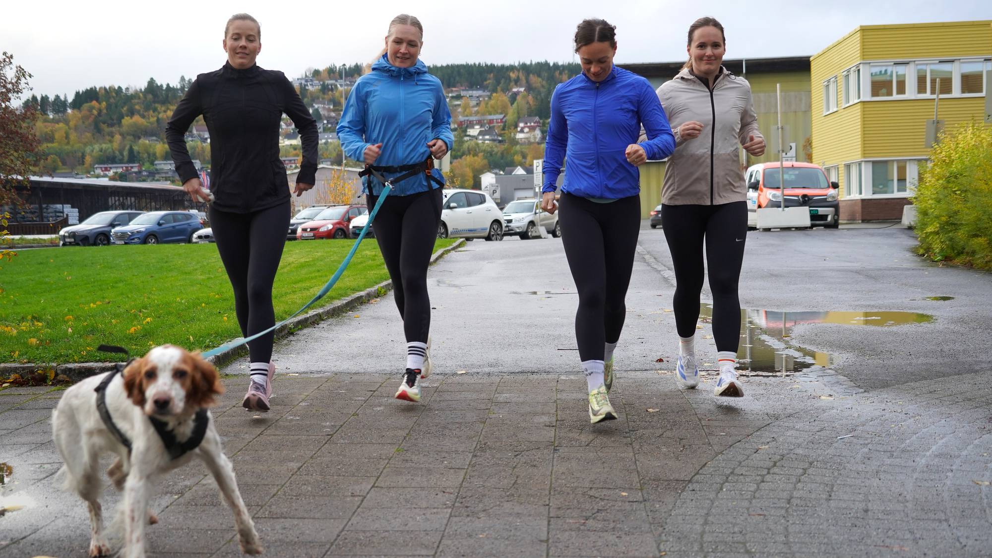 Fire damer jogger lett med en hund i forkant.