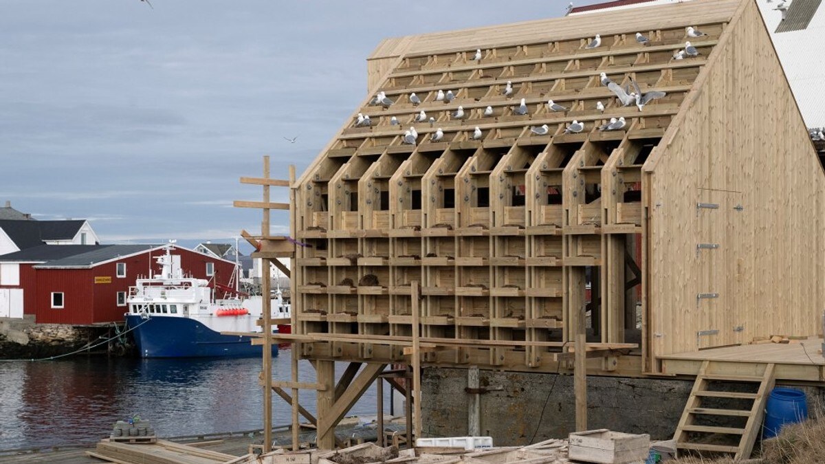 Vil hjelpe utryddingstruga sjøfugl med å bygge eigne hotell