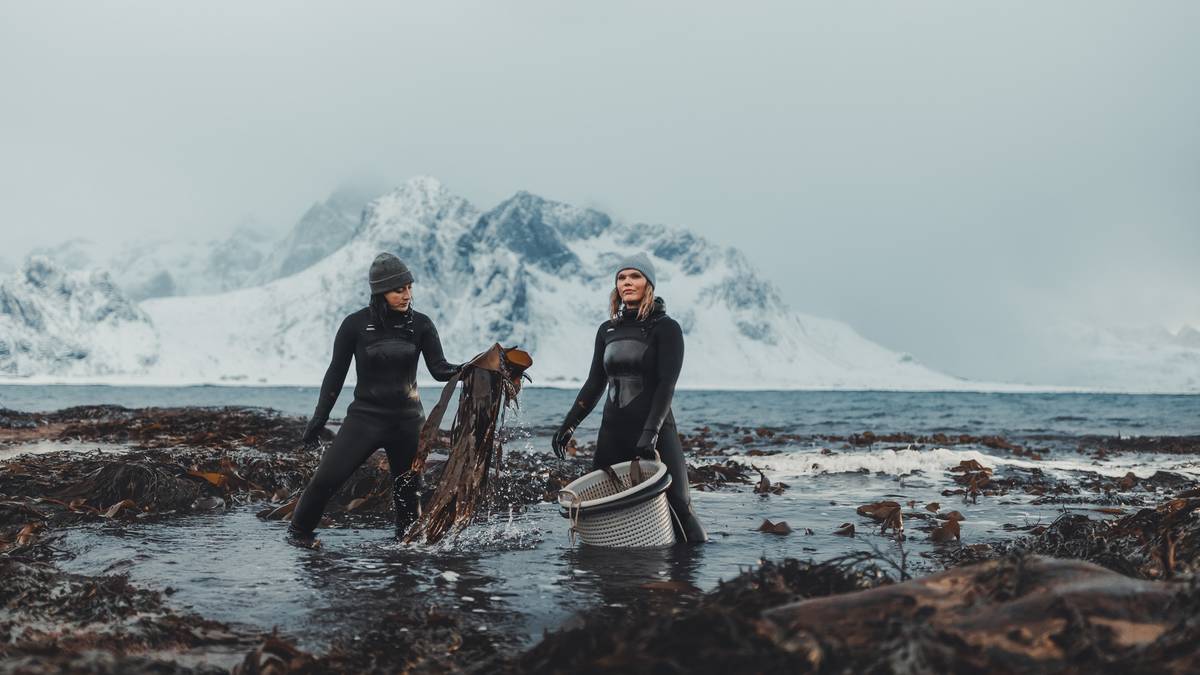 Norsk tang og tare på tyske Michelin-restaurantar