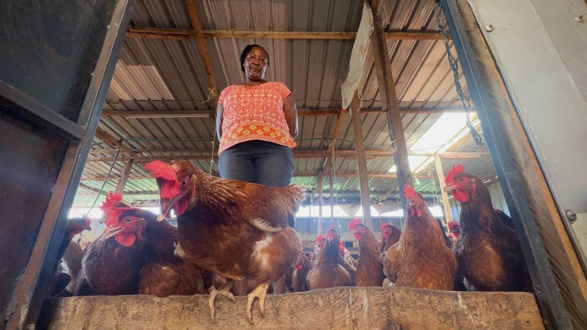 Investerer skattepengar der få tør - tenar godt i Afrika