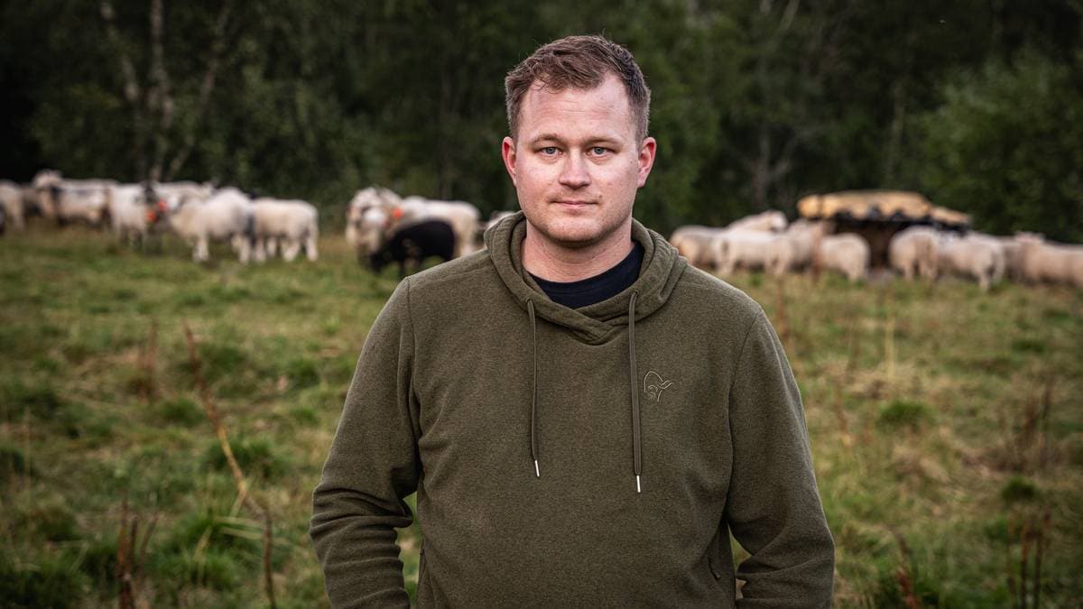 Nemnd­leder sier de ikke blir hørt: – Vi kan defineres som supperåd