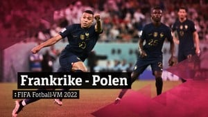 Fotball - VM: Åttedelsfinale, Frankrike - Polen