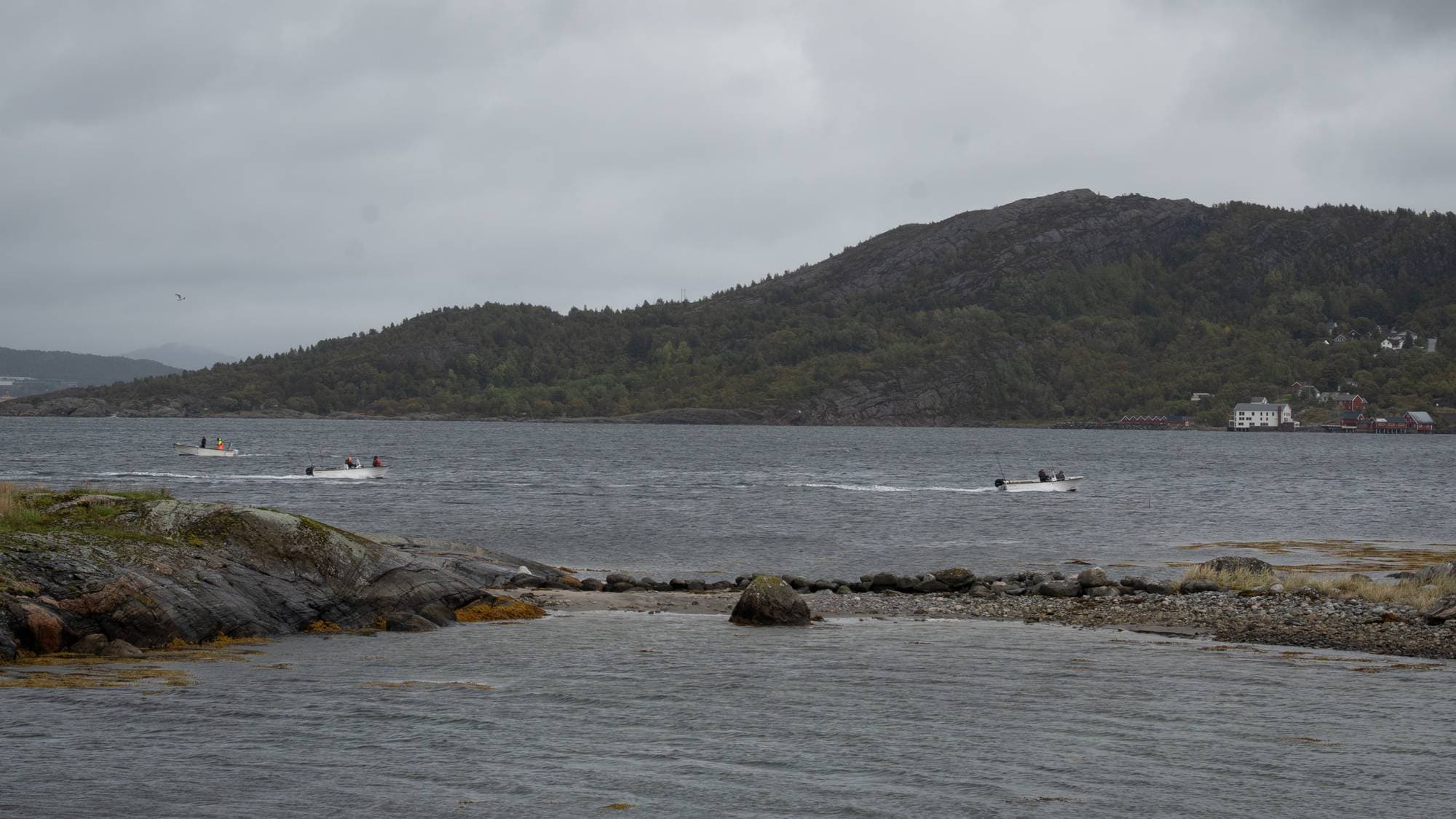 Fisketuristar på Averøya