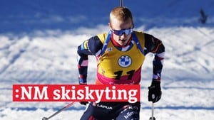 Skiskyting - NM: Sprint menn