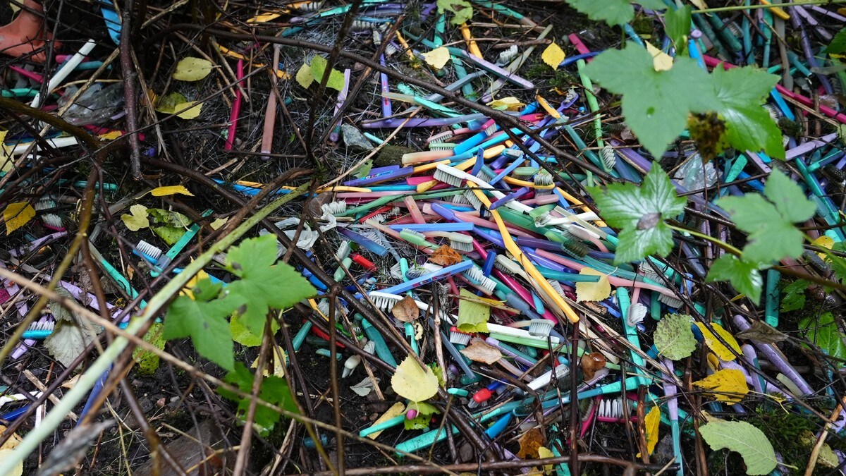 Fortsatt tusenvis av tannbørster i skogen