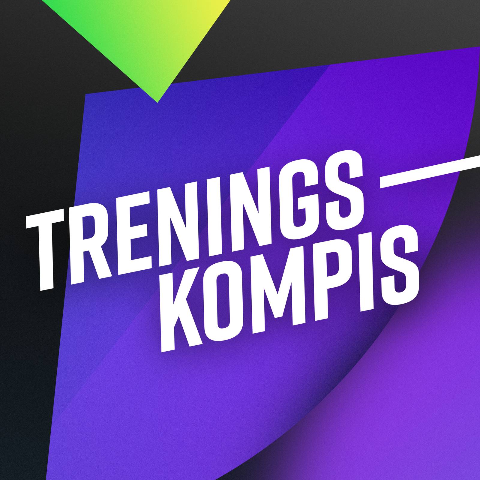 Treningskompis