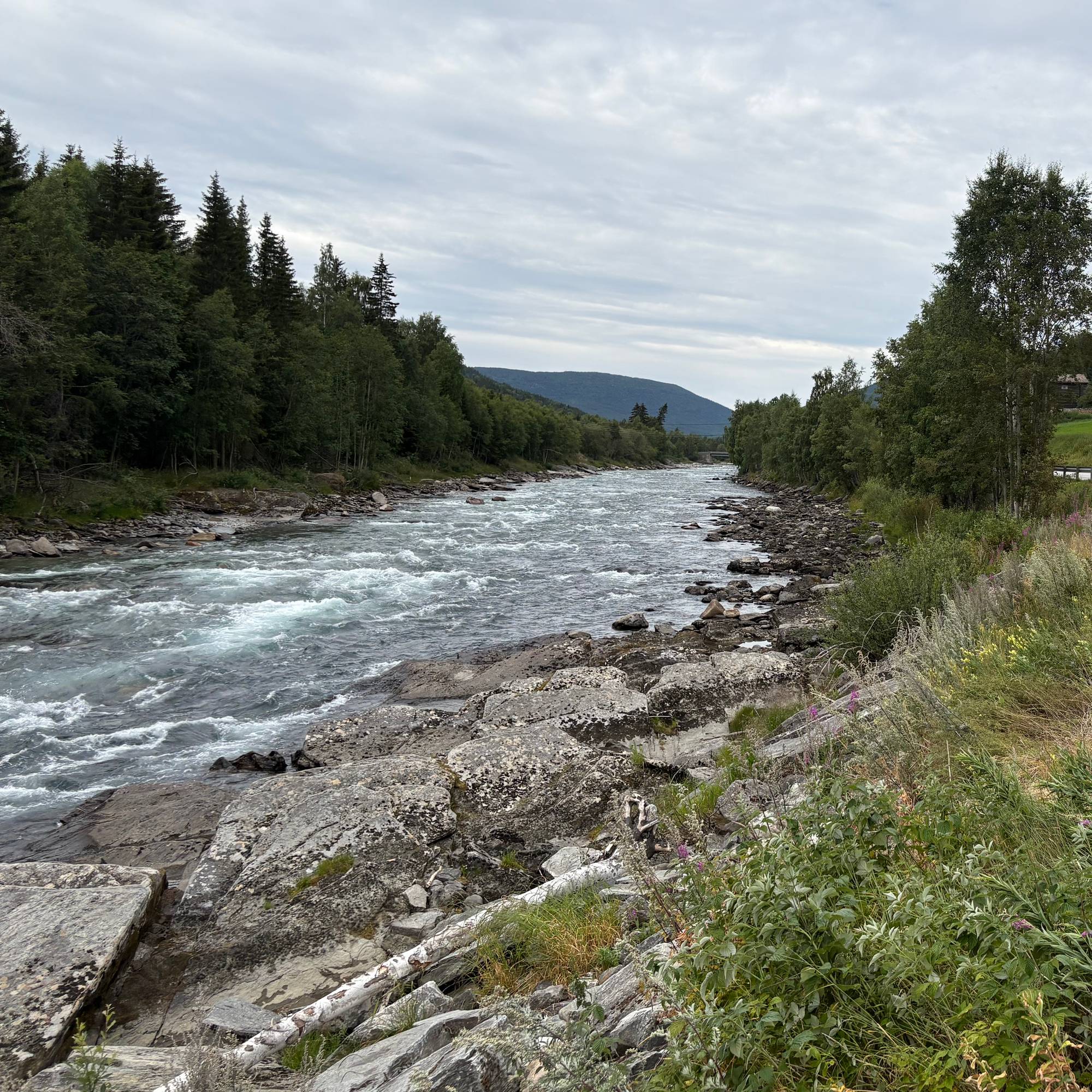 Hvit varebil kjører langs en elv og et landlig landskap med skog og fjell. 
