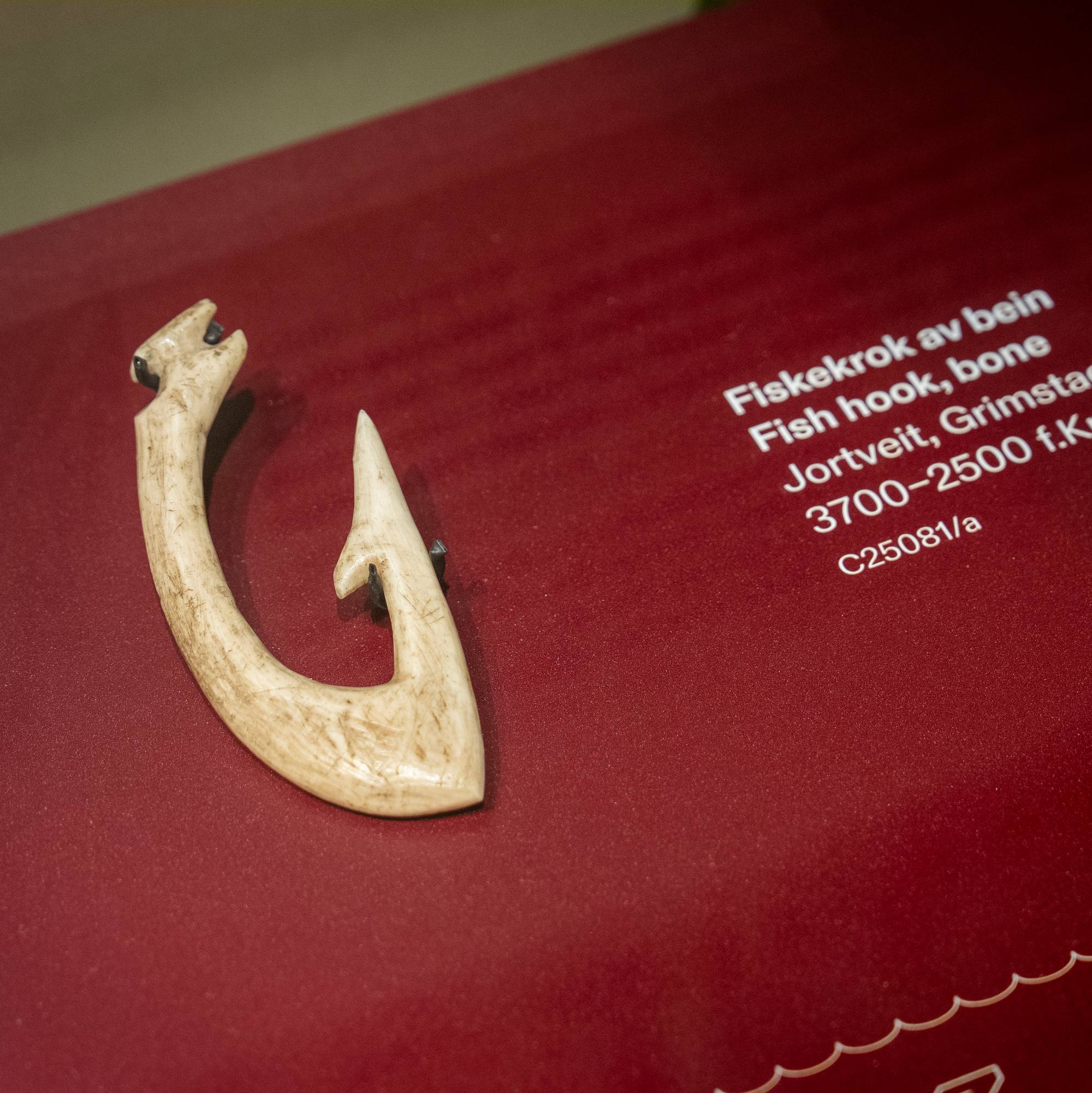 Gammel fiskekrok av bein utstilt på en rød flate med infotekst. (Bildebeskrivelsen er laget av en KI-tjeneste)