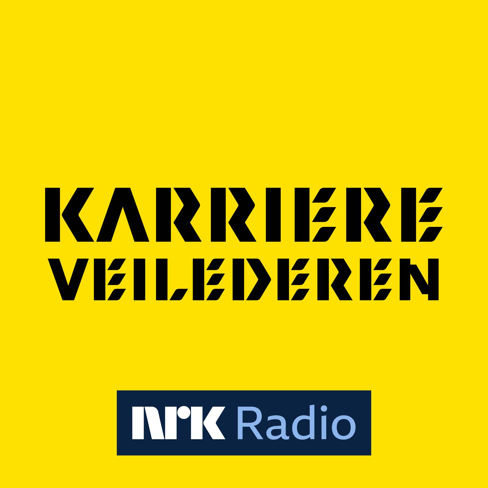 Karriereveilederen