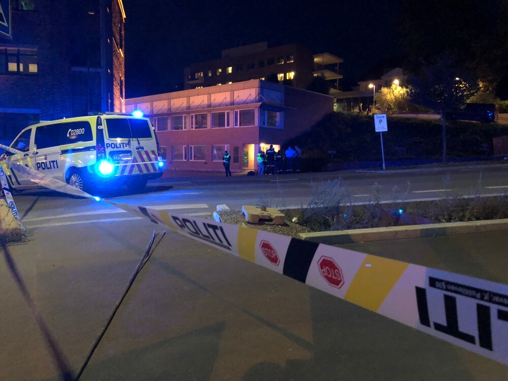 Skudd avfyrt av på Ensjø – traff tilfeldig bil med barn