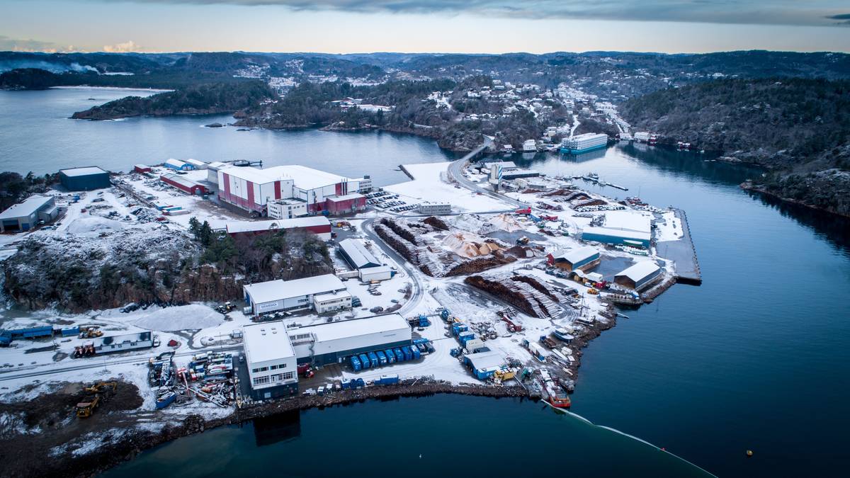 Vil stanse hummerfiske