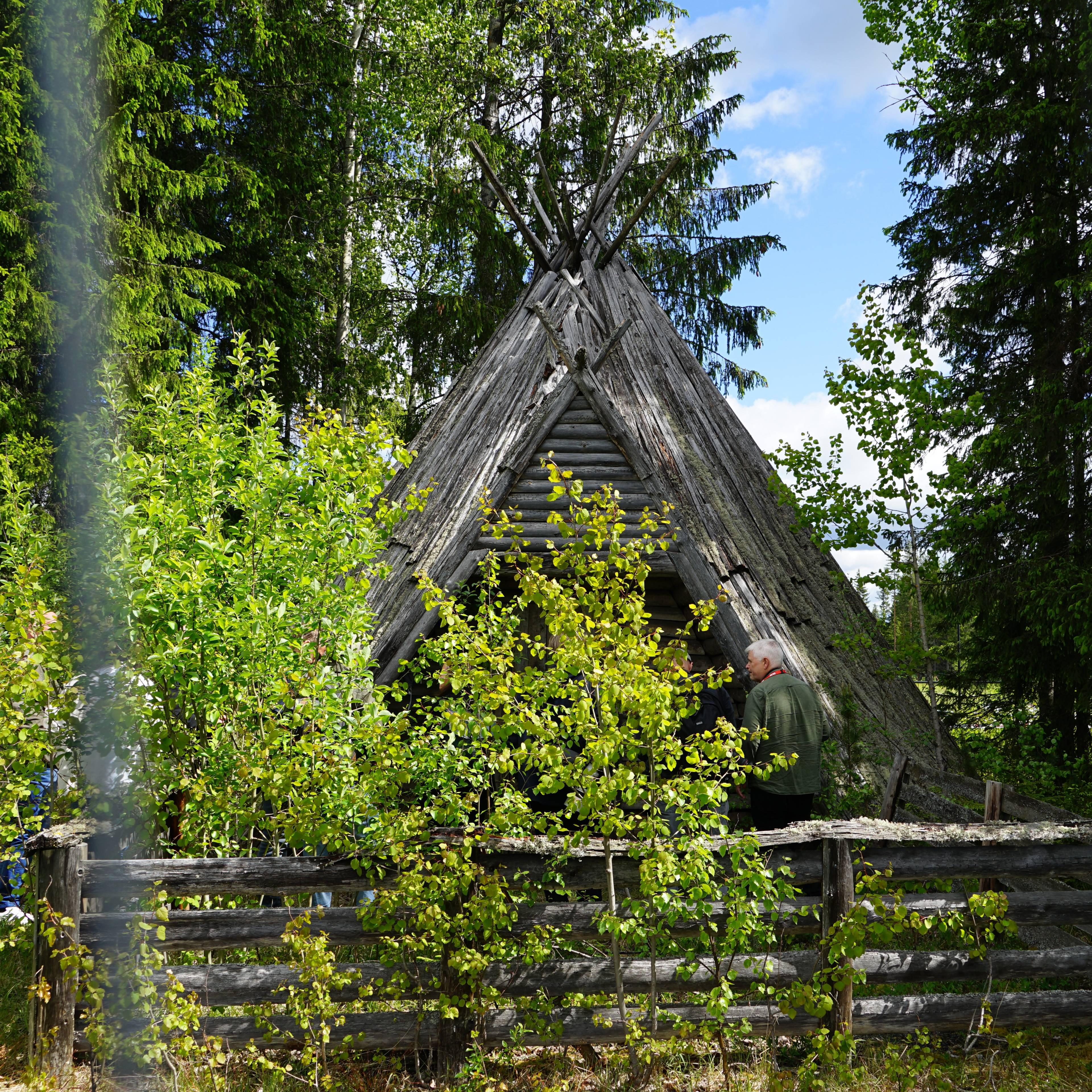 Lavvo