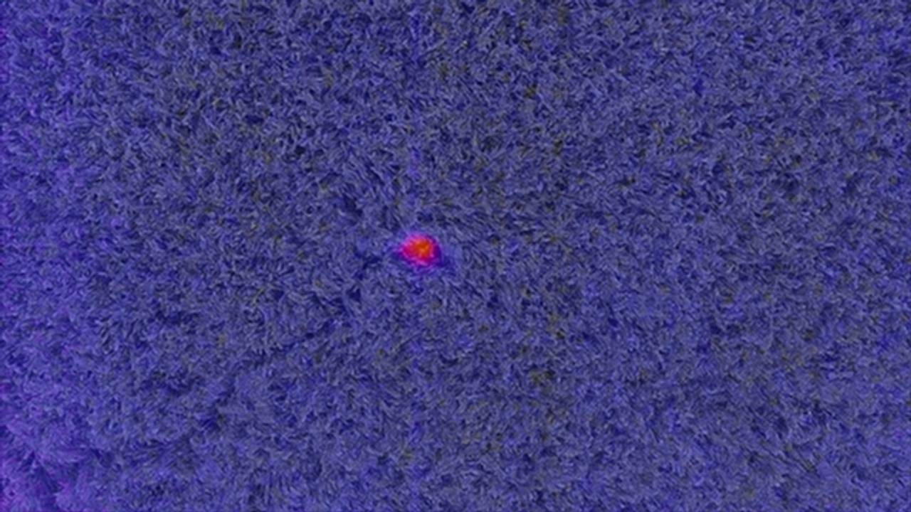 Dronebilde av gresseng. Et lite felt er markert rødt.