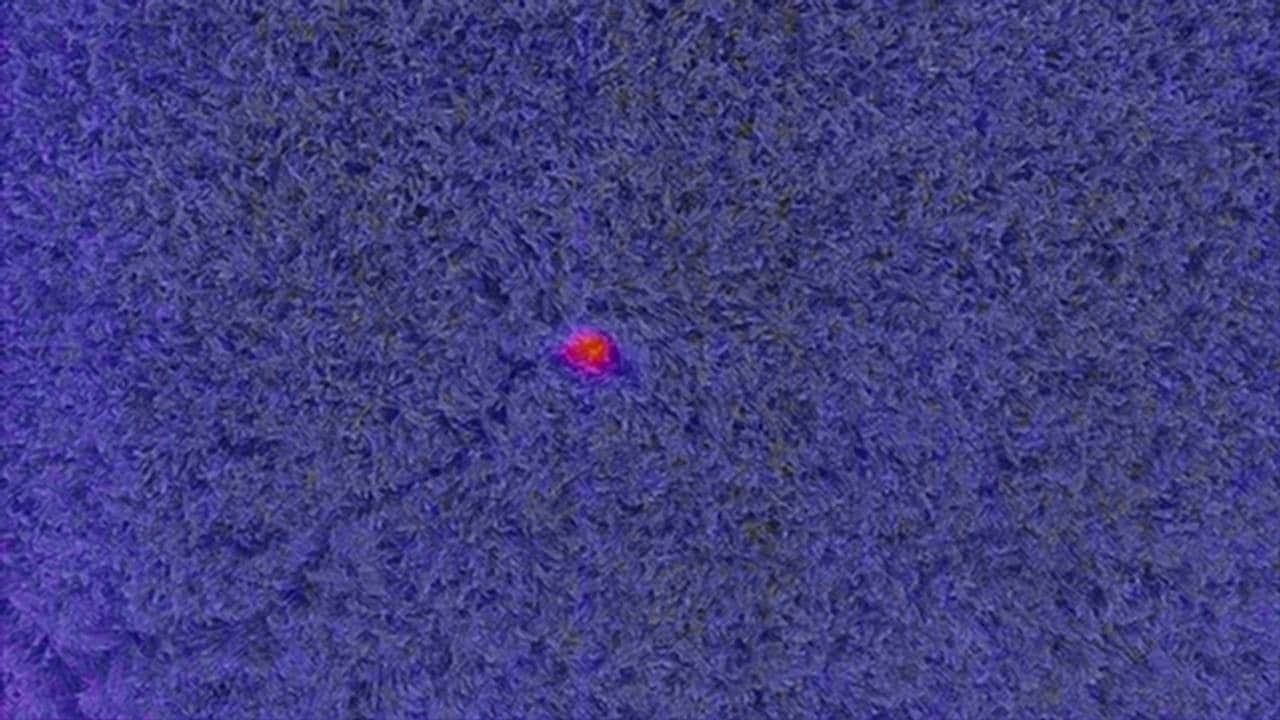 Dronebilde av gresseng. Et lite felt er markert rødt.