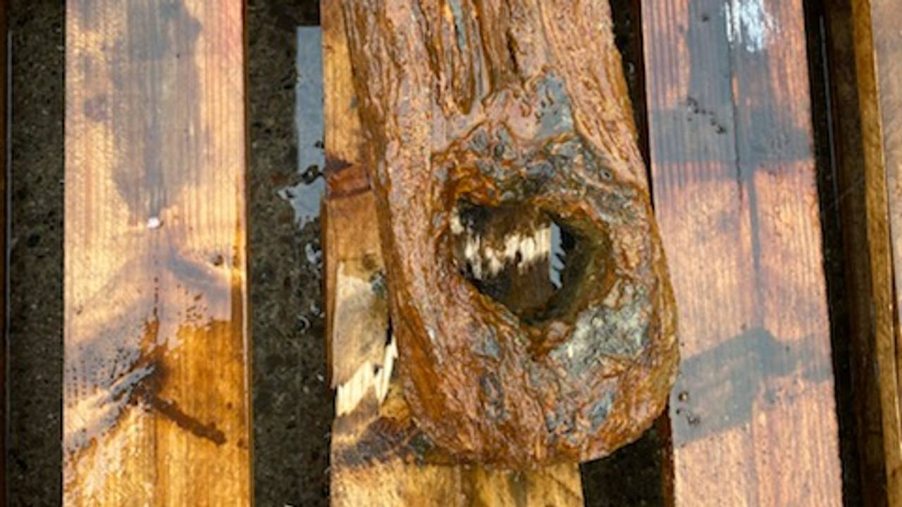 Sjeldent anker funnet ved Bjørnøya