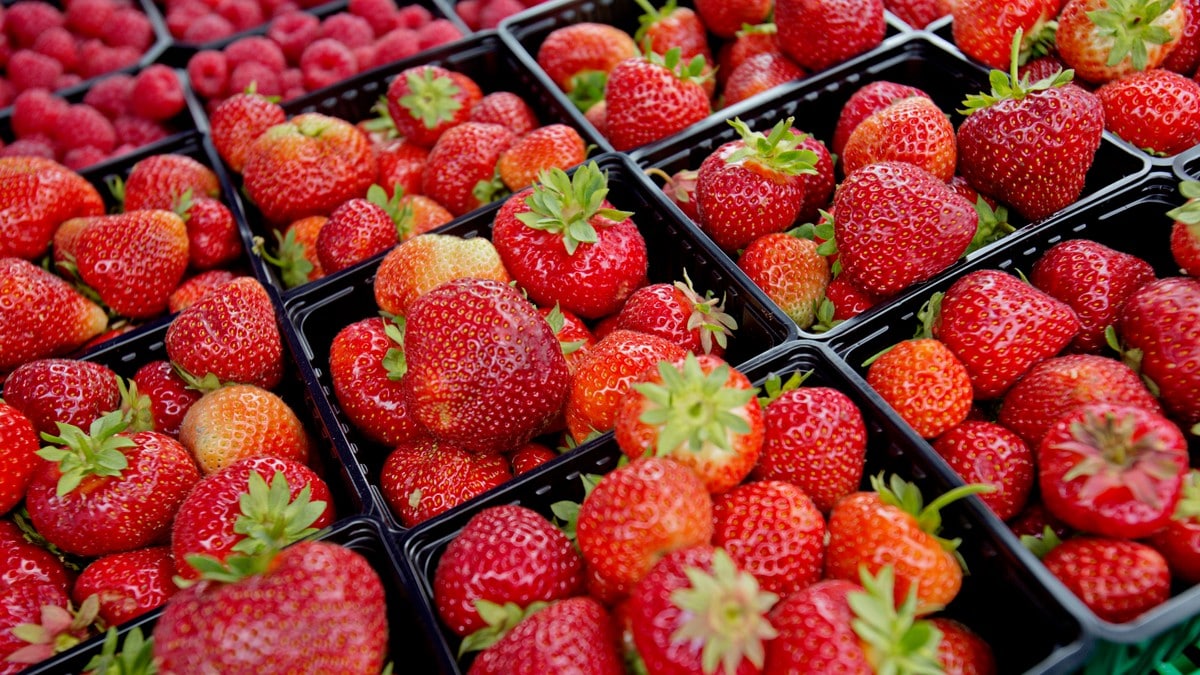 Norske jordbær dyrare i sommar