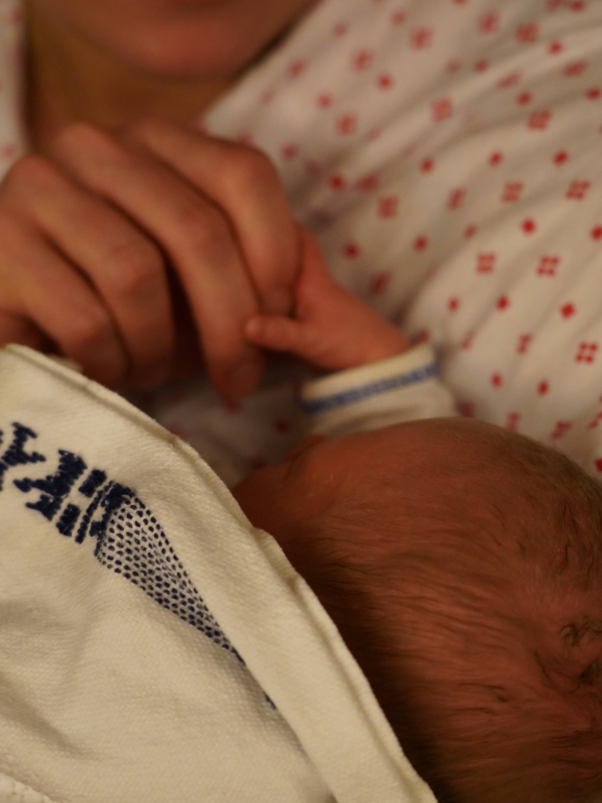 voksen hånd og baby hånd