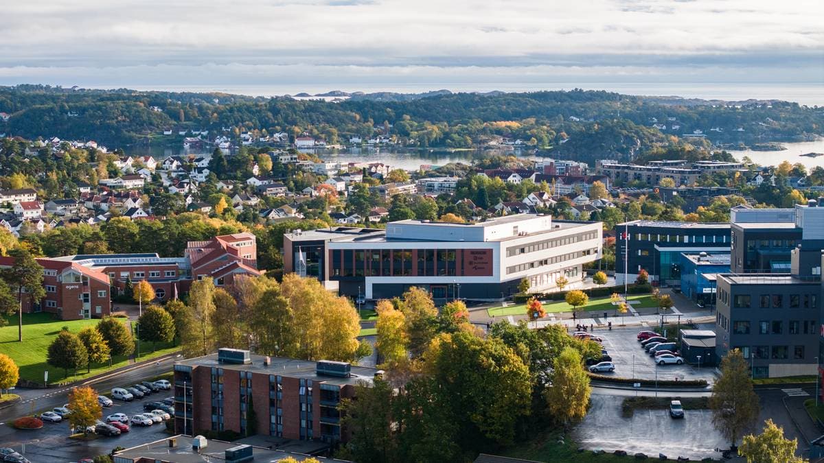 Vil ha studenter til stemmeurnene