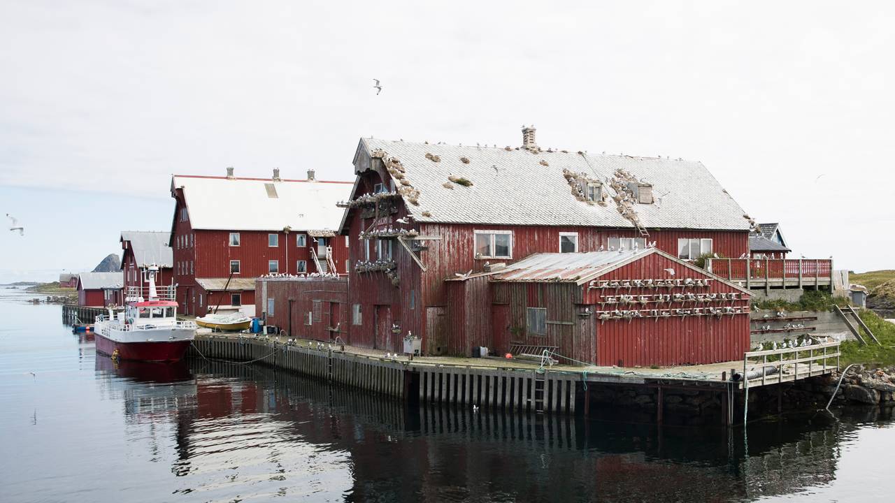 Kårøya, Røst i Lofoten