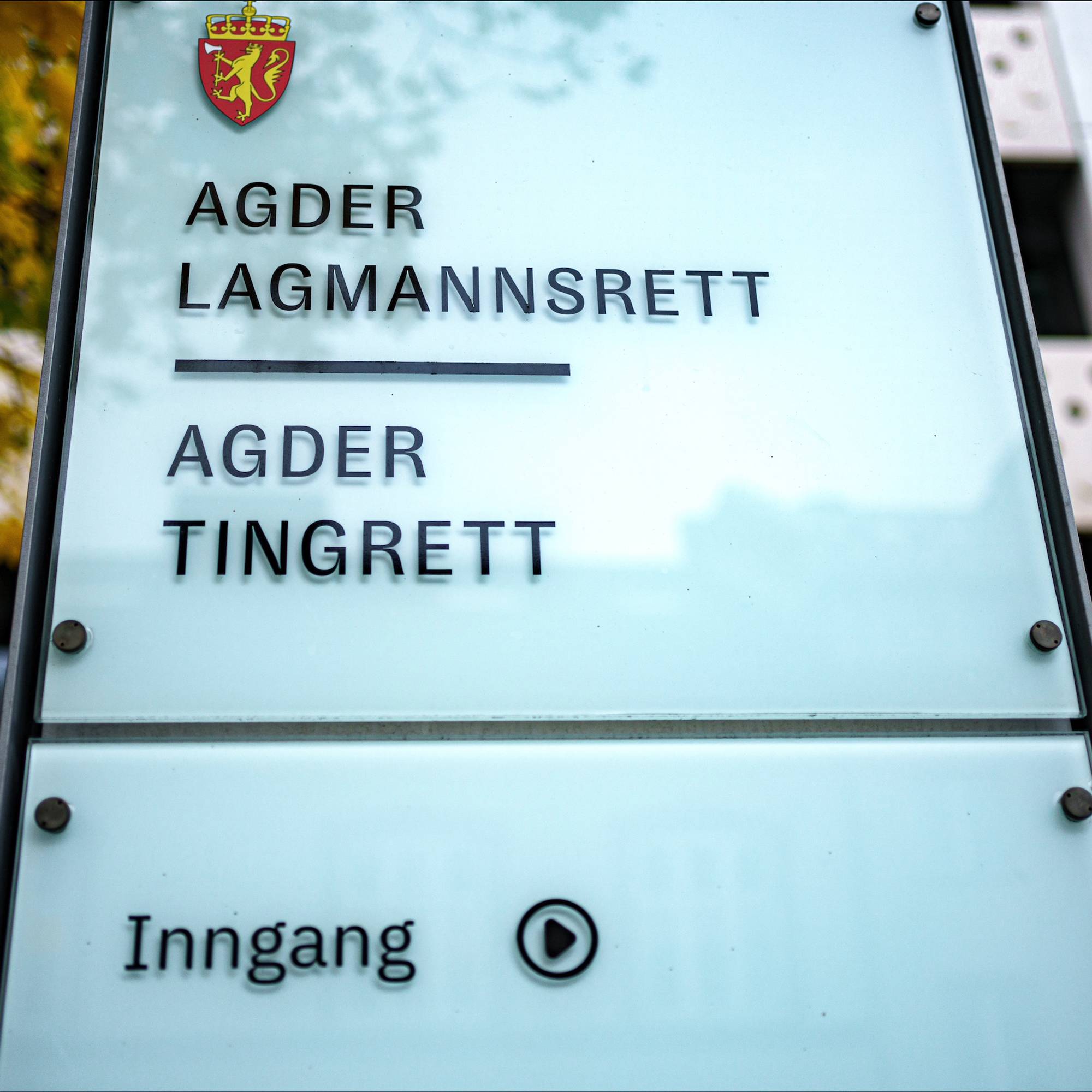 Agder tingrett