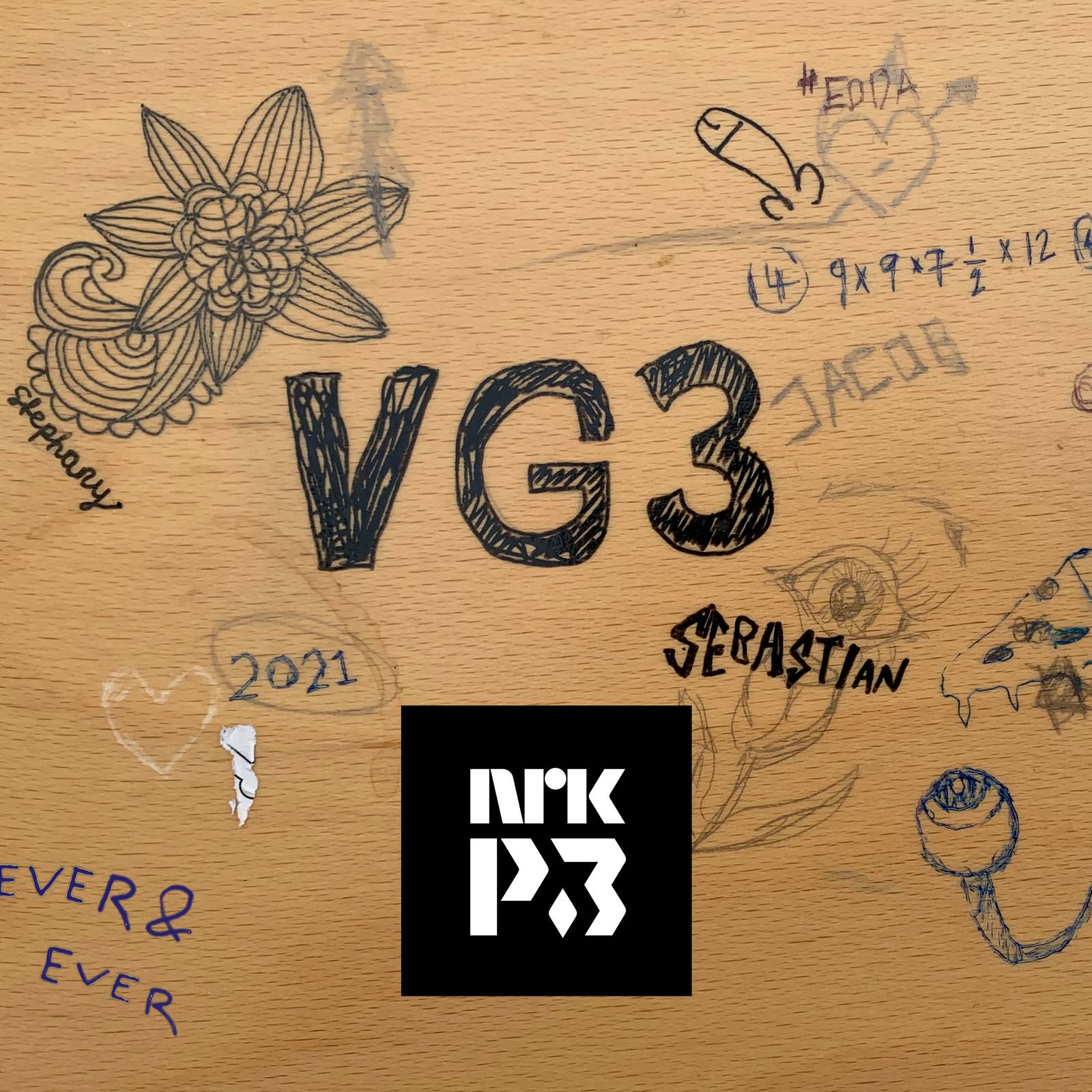 VG3